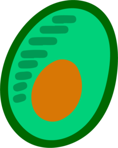 Vitamina B2 Guia Do Nutriente ProVeg Portugal AVP