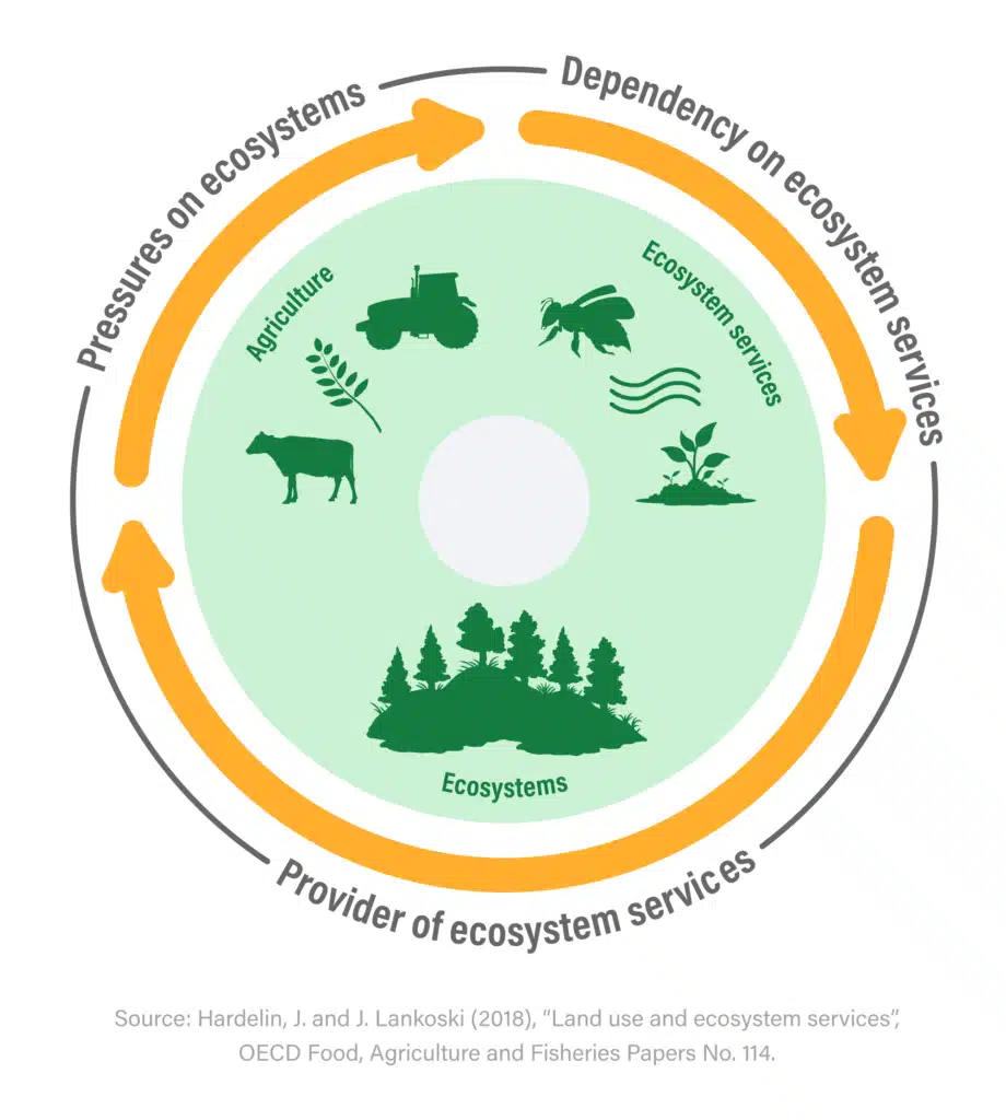 PV UN farming Policy brief 02 920x1024 1