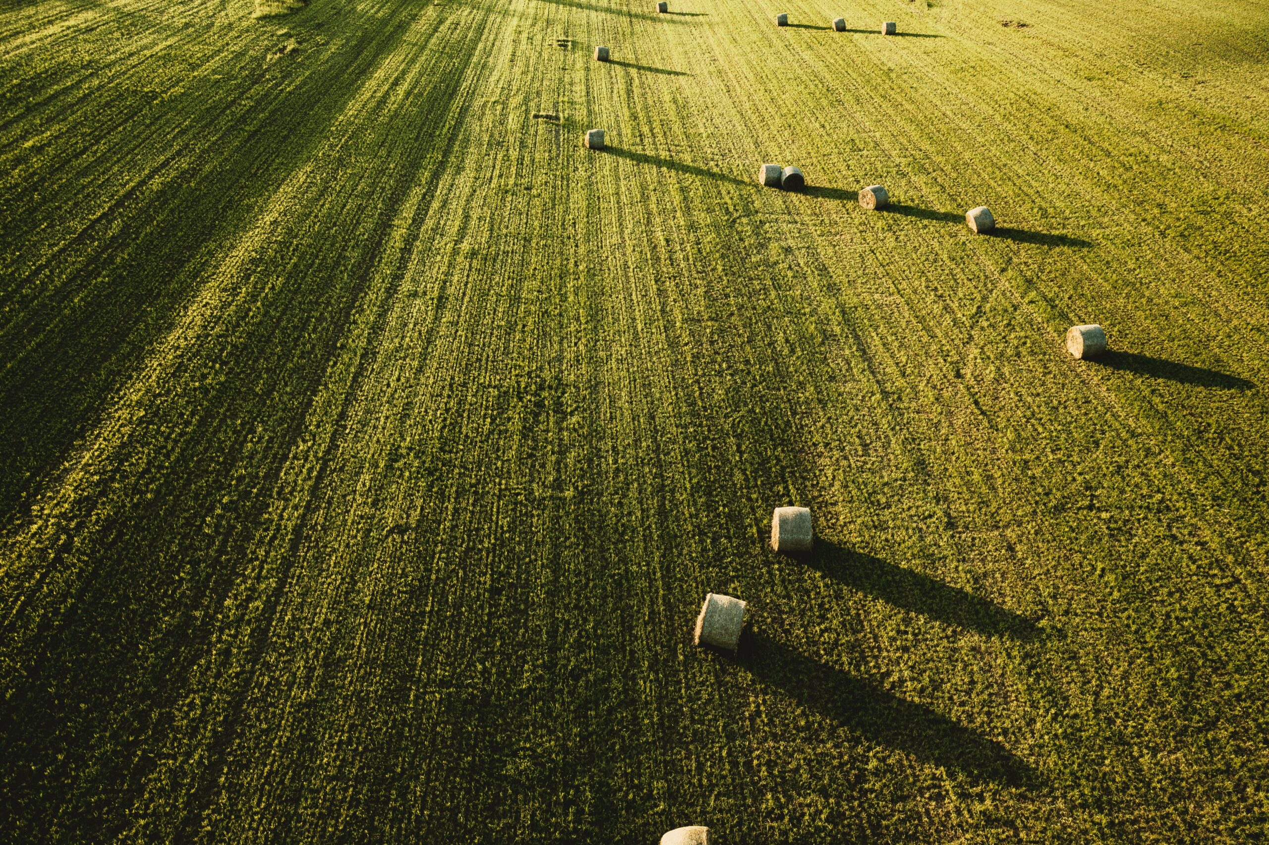 visão para a Agricultura e Alimentação